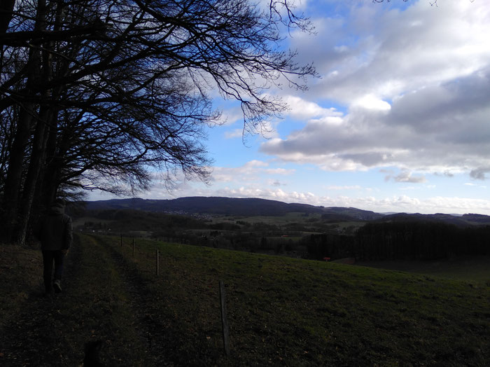 Ausblick in Richtung Neukirchner Höhe - sogar mit blauem Himmel.