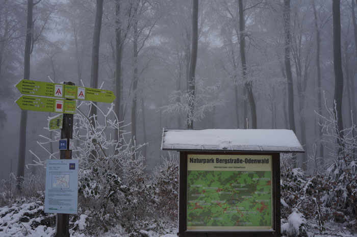 Rund um den Kaiserturm auf der Neunkirchner Höhe laden verschneite Wanderwege zu einer Winterwanderung ein.