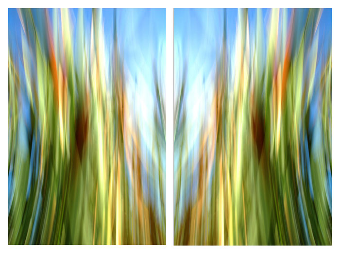 otherONES | 2007 | Titel: Tor in die Anderswelt - 2x 50x70cm, á 379,00 Euro | Aludibond - Edition of 3.