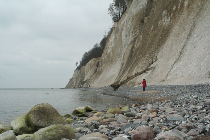 Kreidefelsen Rügen