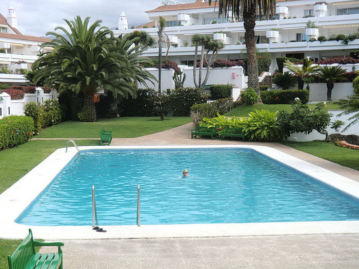 Pool umrahmt von einem subtropischen Garten mit Rasenfläche.