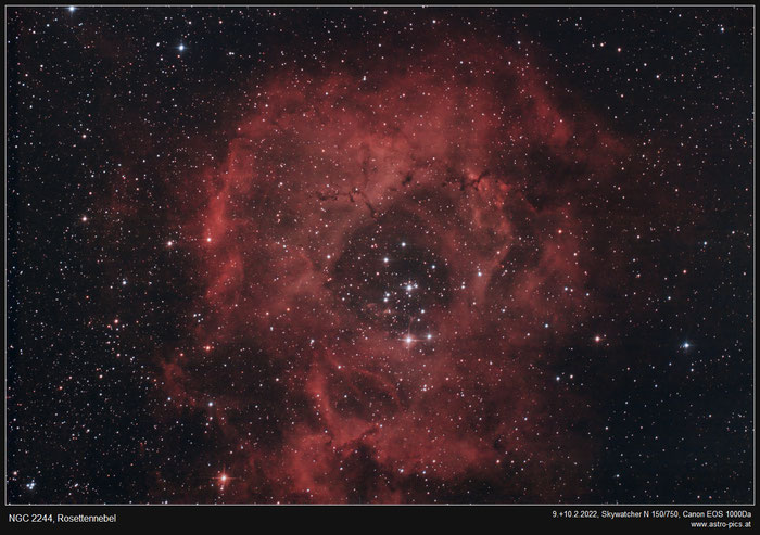 NGC 2244, Rosettennebel