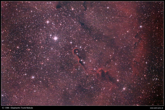 IC 1396, Elefantenrüsselnebel, Elephant's Trunk Nebula, aufgenommen mit Skywatcher 150/750 Newton, Canon EOS 1000Da