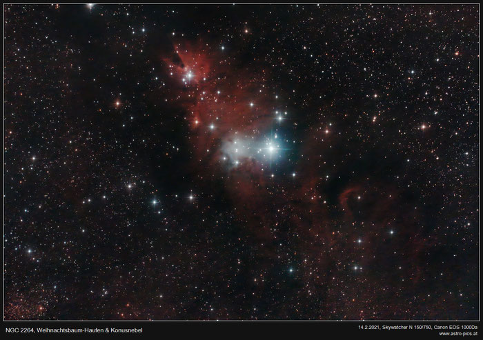 NGC2264, Weihnachtsbaum-Haufen & Konusnebel