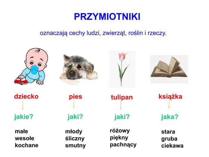 Kartkówka Z Przymiotnika Klasa 5 przymiotniki - beatam2016