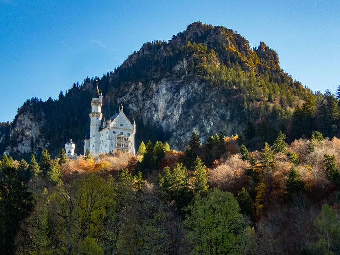 Schloss Neuschwanstein in der Allgäuer Berglandschaft bei Schwangau, umgeben von Natur