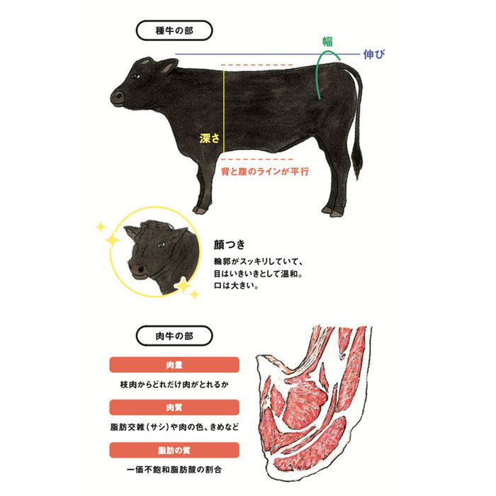 「Minorinote」vol.4 2023年冬号（JA全農）「和牛新時代への挑戦」