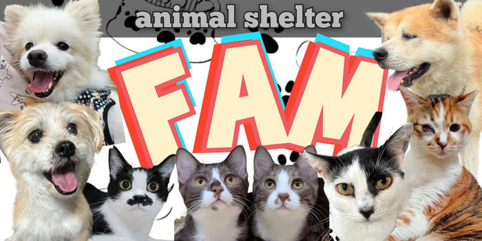 animalshelter-fam-gihu ページ！