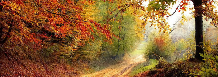 Herbst Portugal