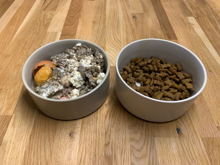 Zum Vergleich: Links eine Tagesportion BARF und rechts eine Portion Trockenfutter. Wie ihr seht, ist die BARF-Portion fast drei Mal so groß. Da wird garantiert jeder Welpe satt!