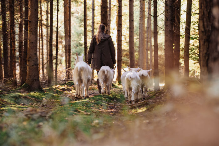© elena danioth