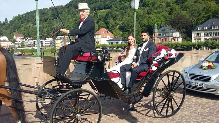 Hochzeitskutschfahrt über Alte Brücke Heidelberg, Kutsche, Pferd