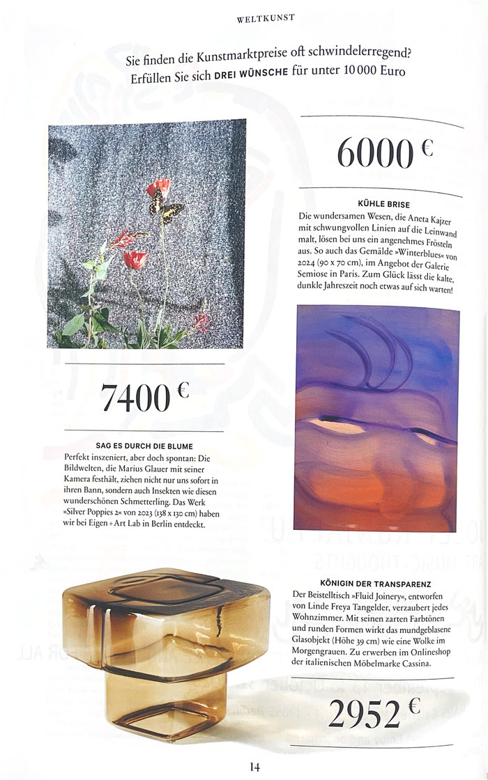 WELTKUNST 245/25 Die Kunst des 21. Jahrhunderts, S.14
