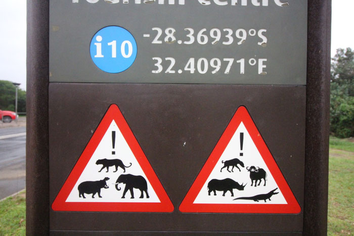 Südafrika, Roadtrip, Auto, Afrika, Tiere,Gefahr, Weltreise, Straßen, Travel