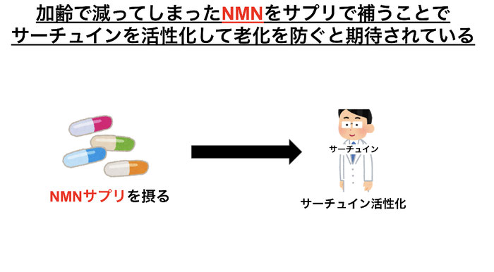 NMN（ニコチンアミドモノヌクレオチド）サプリを摂ることでNADを増やし、サーチュインを活性化する。