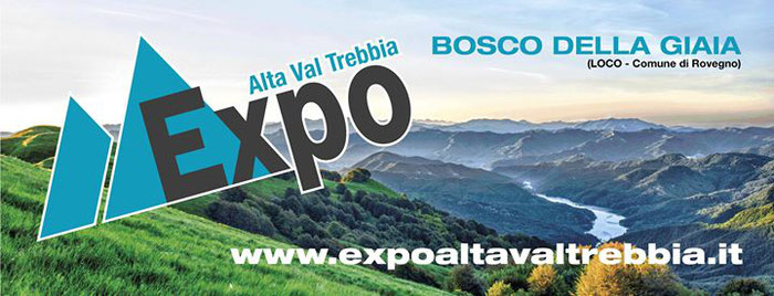  gli "Artigiani Creativi" di ArTre  a Loco di Rovegno  per EXPO ALTA VAL TREBBIA 28 - 29 - 30 luglio 2017