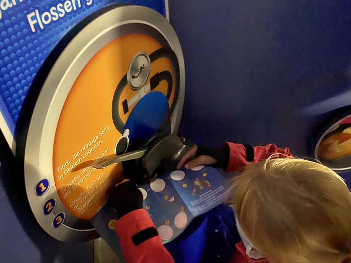 Die Kinder lernen viel über die Wasserwelt und können im Logbuch ein Tier einstanzen.