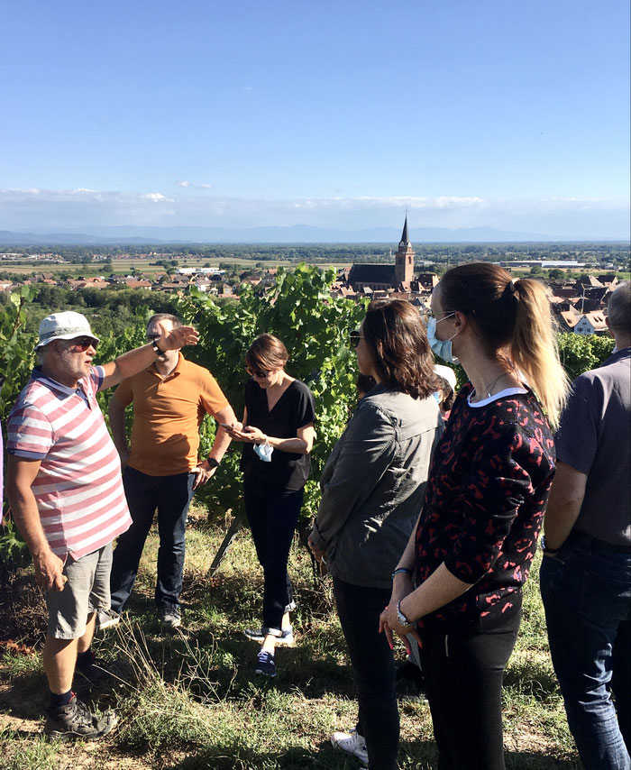Dans les vignes avec Jean-Michel Deiss, initiateur de la dégustation géosensorielle, septembre 2020, Bergheim, Alsace ( photographie : Caroline Claude-Bronner) 
