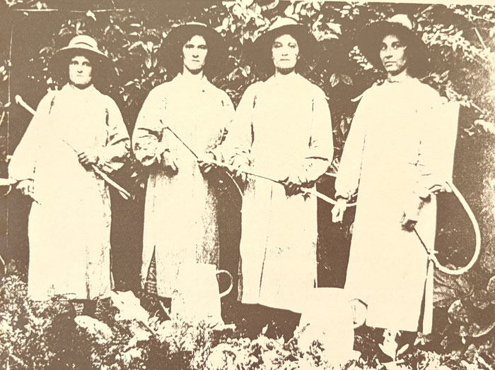 Vigneronnes en charge du traitement, vignoble alsacien, Photographie conservée au Musée des Vins d'Alsace, à Kientzheim