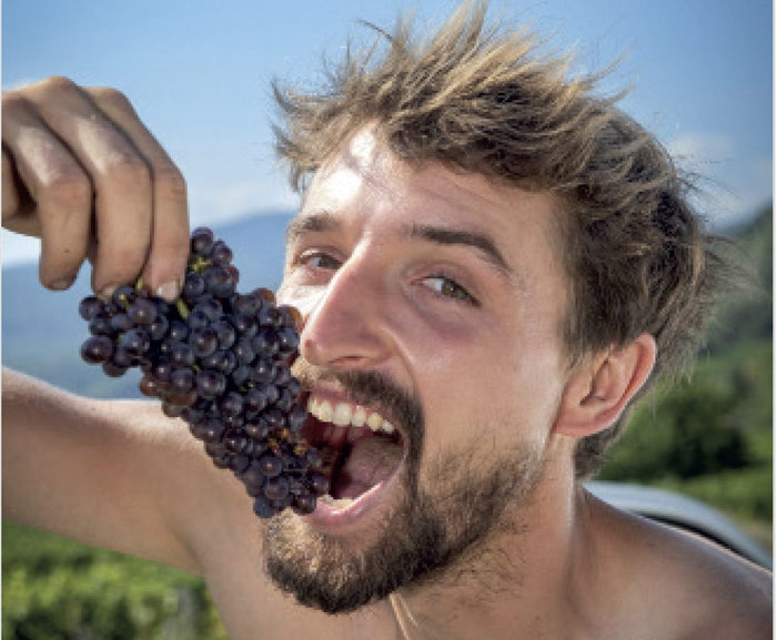 Entre biodynamie, agroécologie et vinification naturelle. Ce livre est né de ces quatre années de cheminement, de lumière, de pluie et de dialogues.