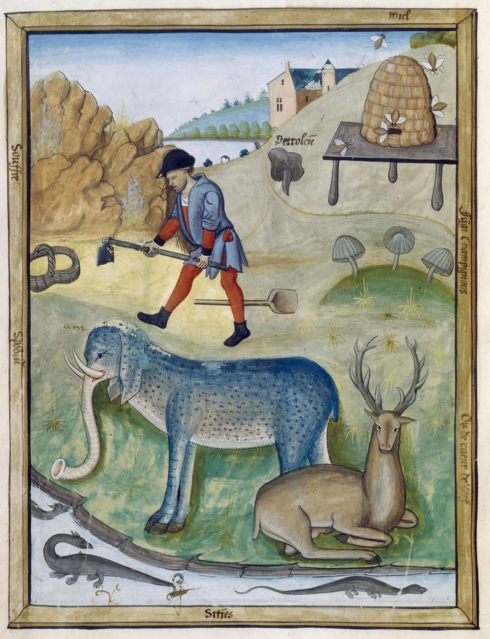 Le livre des simples médecines, Extraction du soufre, 16e siècle, Robinet Testard, BnF, Département des Manuscrits, Français 12322, fol. 193v