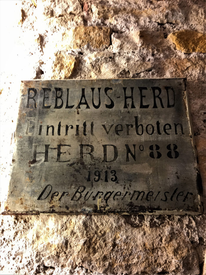 Panneau mentionnant la préscence d'un troupeau de Phylloxéra à Mittelbergheim