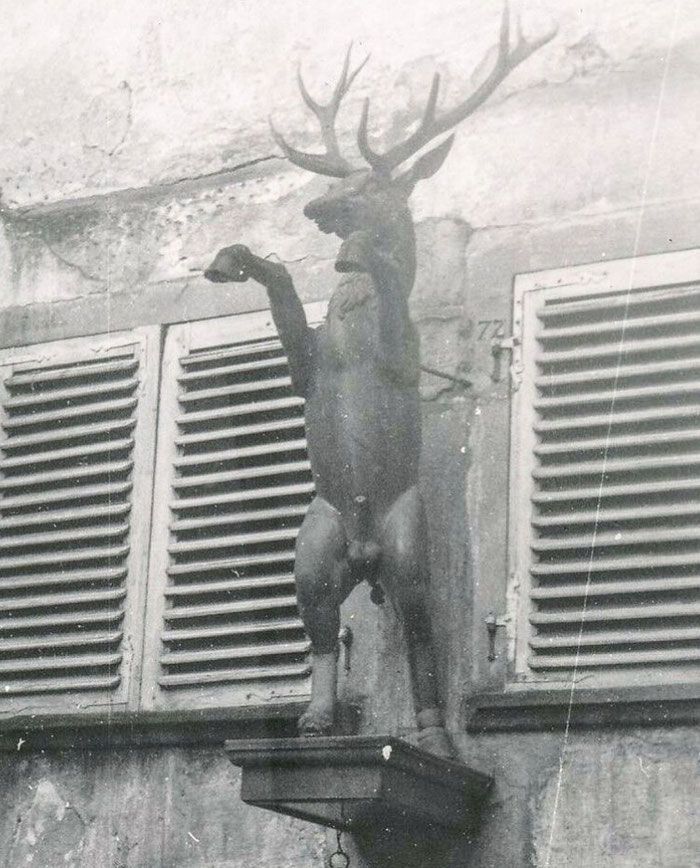 Le Cerf cabré enseigne de l'ancienne auberge de gourmet "Au Cerf" à Riquewihr avant la pose du cache sexe en 1935. Il s'agit d'une copie datée de 1925 (ateliers Klem) de l'enseigne originale déposée en 1888 au Musée Unterlinden de Colmar.