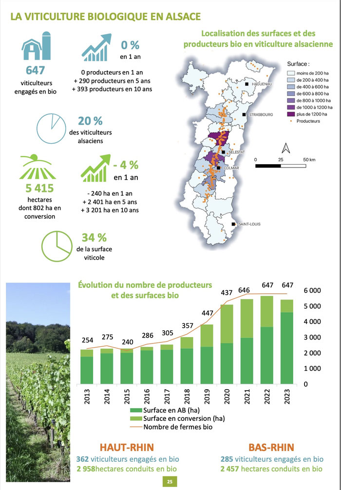 Agence bio -  Bio en Grand Est - Chiffres 2023