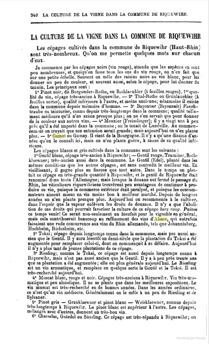 Contribution de Adolphe Sattler, la culture de la vigne dans la commune de Riquewihr en 1868