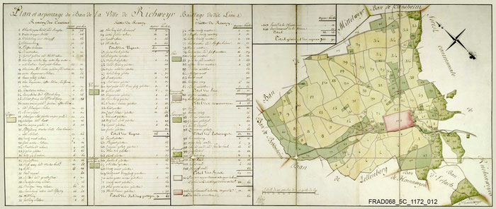 Les cantons du Schöenenburg sont numérotés 4 - Plan et arpentage du Ban de la Ville de Richweyr XVIIIe siècle - 5C 1172/12 Archives Alsace - Colmar
