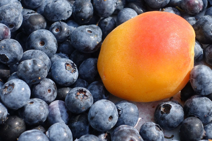 Blaubeeren und Aprikosen