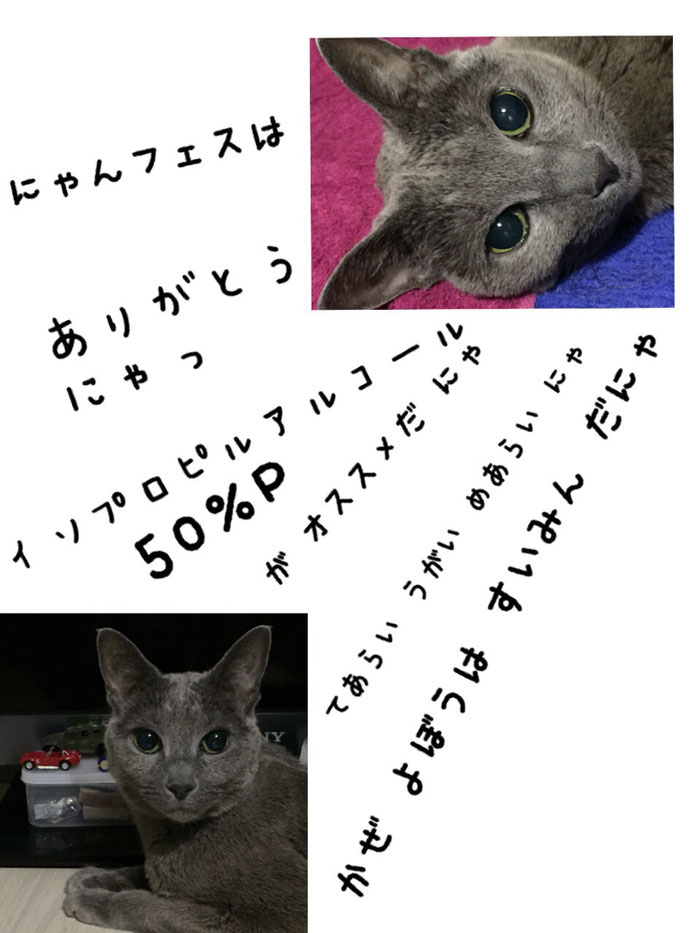 鼻うがい これが 一番効果があるけど 最初はコワイ? コップに40度程度のお湯と少々の塩をよく撹拌し気管に入れないように注意し、温塩水だけ鼻から吸い込んで直ぐ鼻から出す!(^^なれると顔のむくみがとれたり小顔になるのでやり過ぎない程度に(^^ 薬に頼らず 眠気や副作用もないし でも注意、慣れは必要ですが きく~ らく~WWW あからさまに 鼻に 異物を吸い込んでしまった場合でも 鼻うがい で出せるので 緊急時もお役立ち まじめにwww