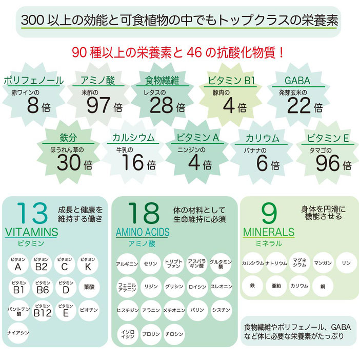 モリンガプロテインサンキュー39 体と心を整え元気にする会社 ヒダカファミリー