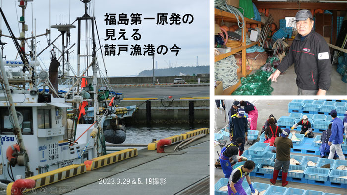 福島第一原発の見える請戸漁港の今　2023.3.29＆5.19撮影