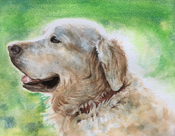 水彩で犬を描く - 絵画造形教室アートふじみの《基礎から本格的に学べる》