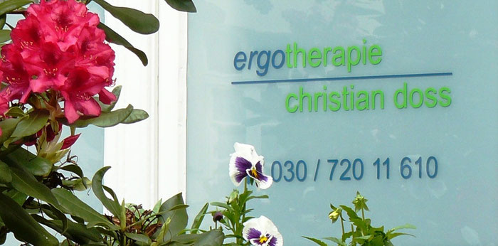 Fenster mit Logo der Ergotherapie Christian Doss. Davor blühender Rhododendron.