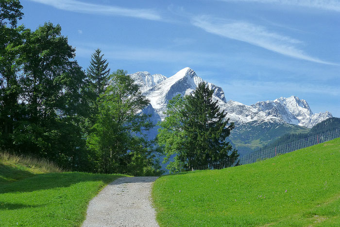 Weg zum Berggasthof Eckbauer