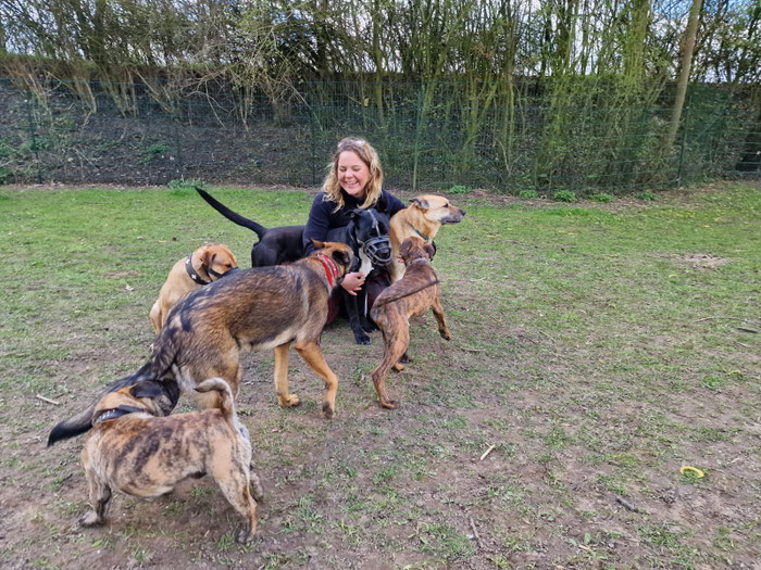 Im Tierheim lernte ich viel über freie Sozialkontakte & Hundegruppen - auch mit schwierigen Hunden