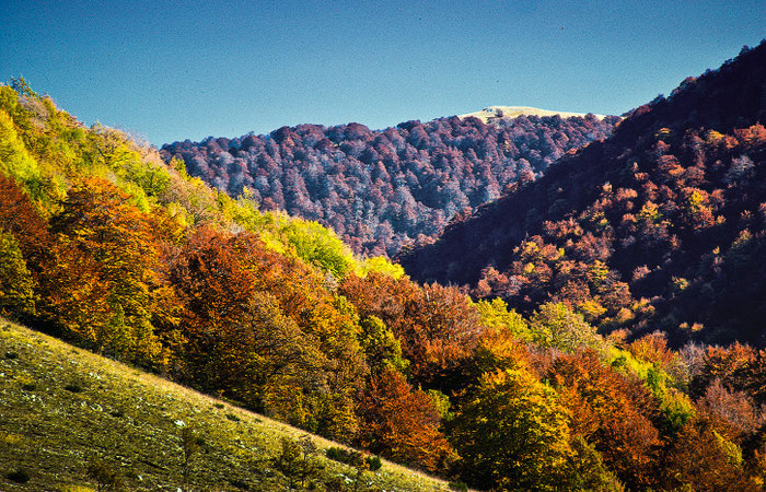 Villavallelonga, paesaggio