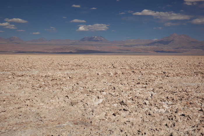 In der Salar de Atacama