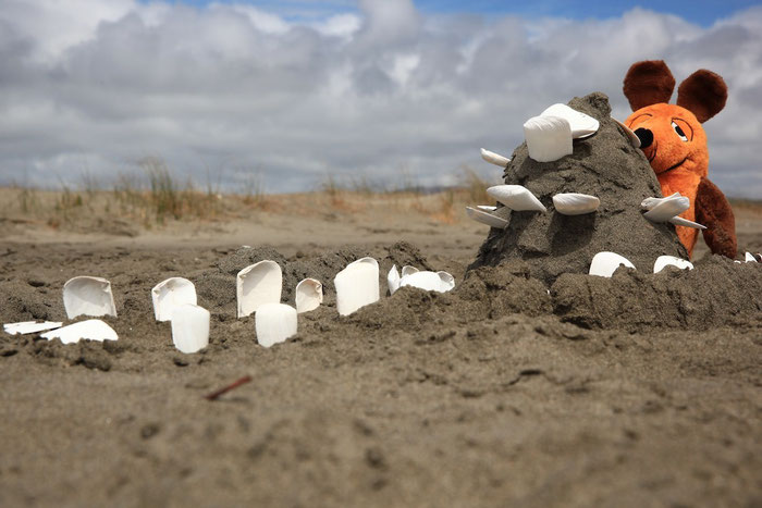 Burgherr Maus am Strand