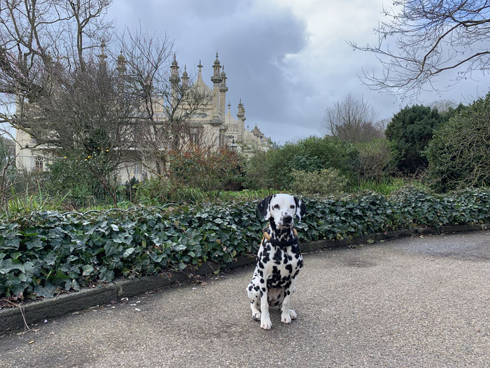 Pavilion Gardens Brighton