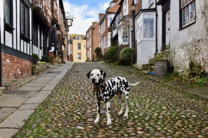 Mermaid Street in Rye