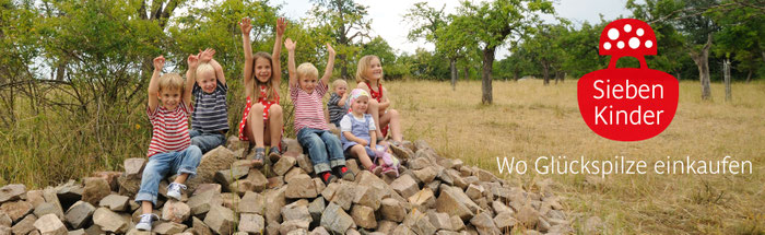 Onlineshop Sieben Kinder