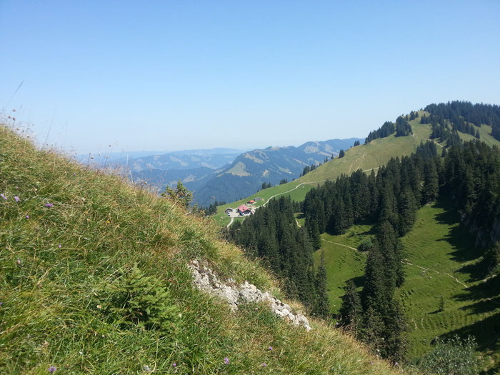 Blick vom Nagelfluhgrat zurück hinunter zur Falkenhütte.