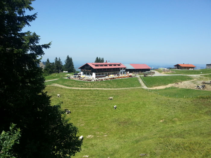 Unter den Falkenköpfen liegt die schöne Falkenhütte.