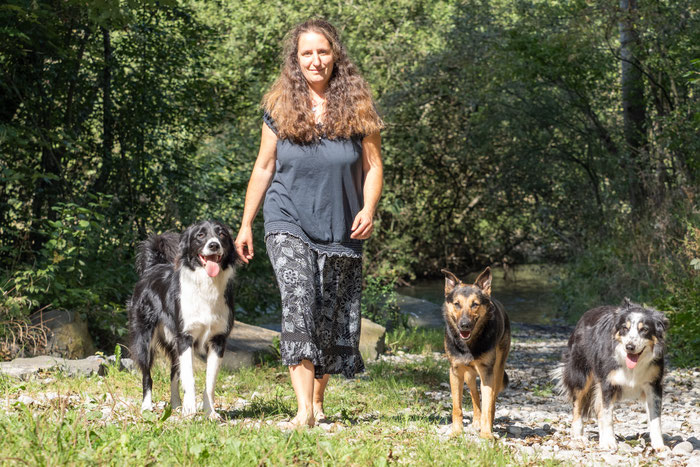 Mensch mit drei Hunden unterwegs