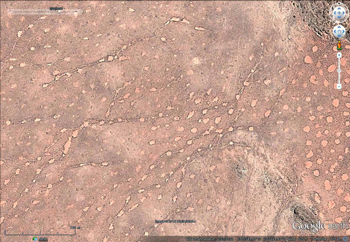 Fig. 1   chains of fairy circles in water runoff at Giribes Plain (Google Earth)