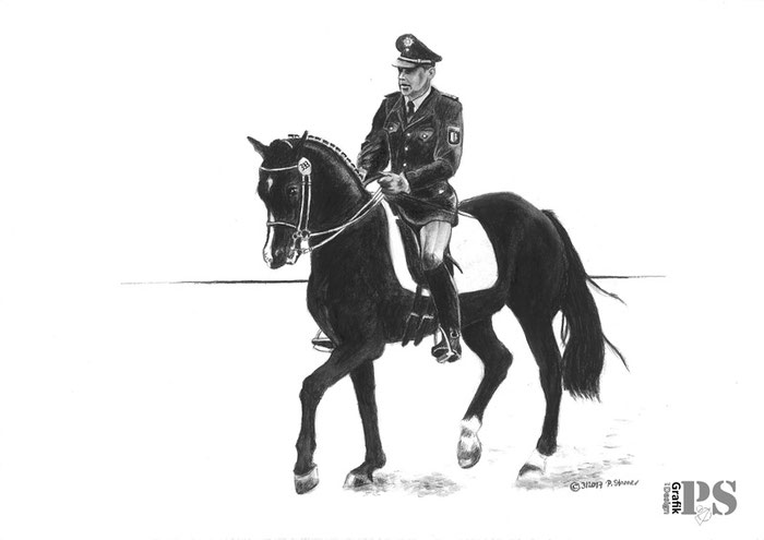 Standardzeichnung Pferd und Reiter