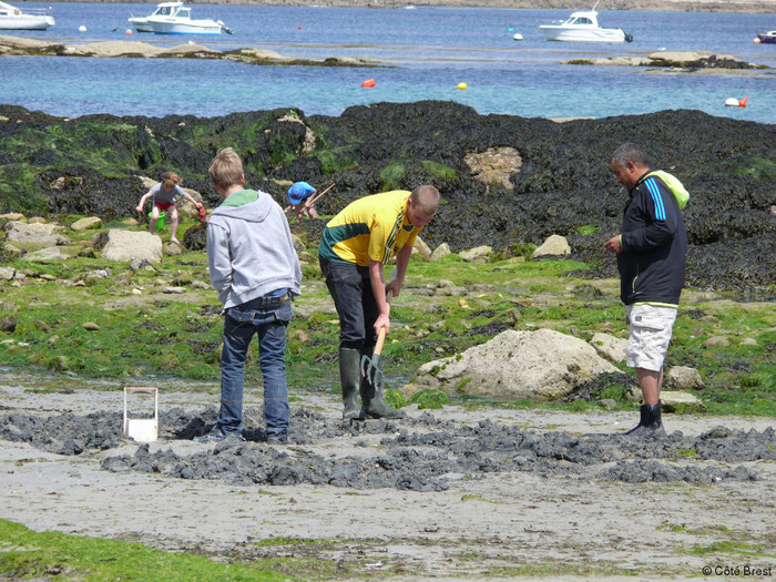 pêche à pied avec enfants Kerbilouet